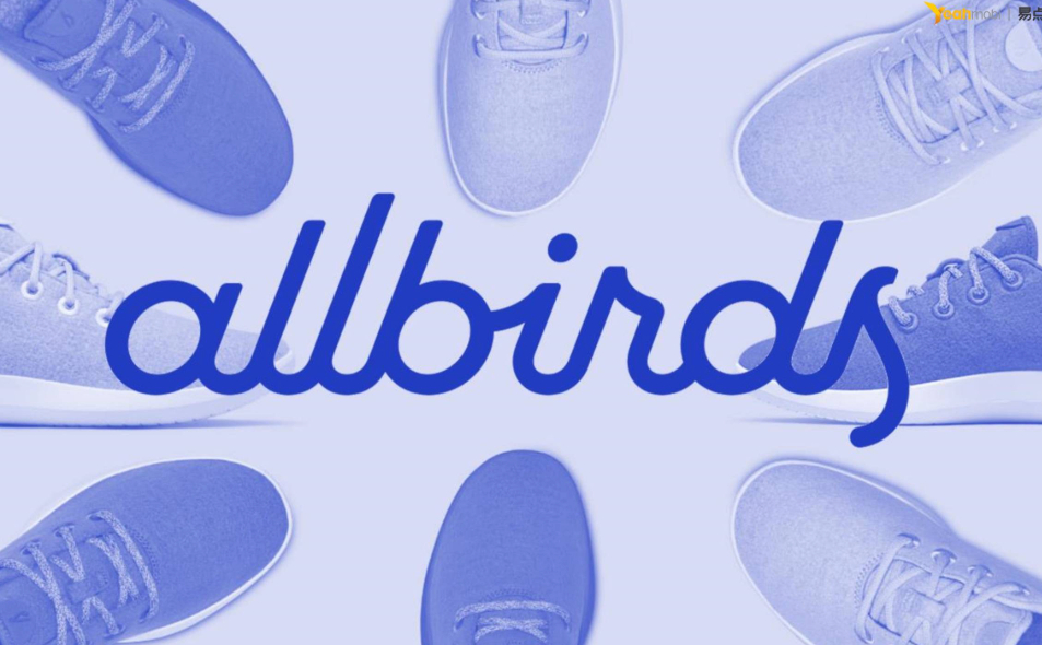 疯狂的“新鸟”:一双羊毛鞋的赛博升天与AI资本局