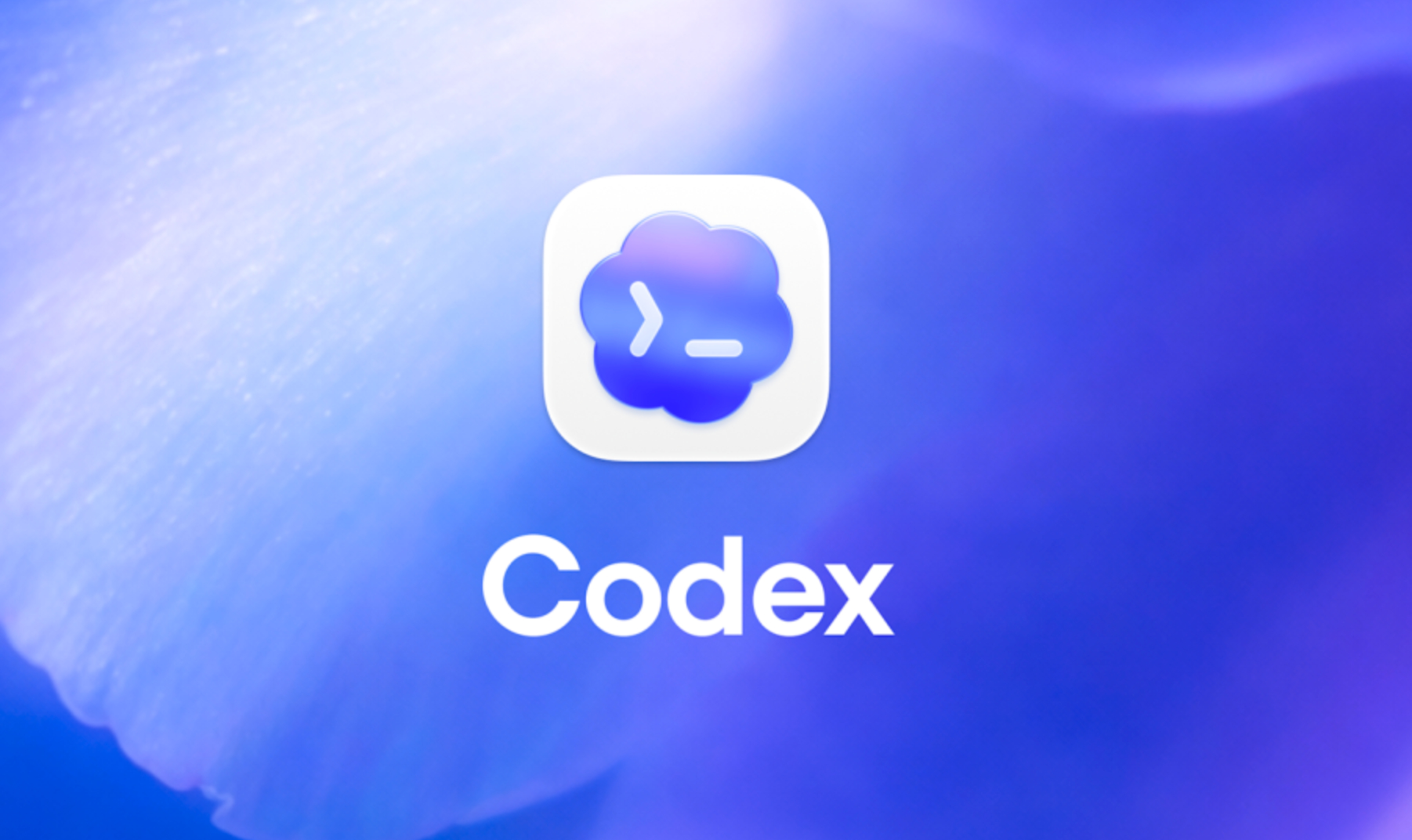 从聊天窗口到运行循环：Codex 如何重新定义知识工作